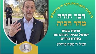 ישראל הביאו לעולם את בשורת החיים • פרשת שמות | ר׳ משה פייגלין (ישיבת הר הבית) - התמונה מוצגת ישירות מתוך אתר האינטרנט יוטיוב. זכויות היוצרים בתמונה שייכות ליוצרה. קישור קרדיט למקור התוכן נמצא בתוך דף הסרטון ישראל הביאו לעולם את בשורת החיים • פרשת שמות | ר׳ משה פייגלין (ישיבת הר הבית) - התמונה מוצגת ישירות מתוך אתר האינטרנט יוטיוב. זכויות היוצרים בתמונה שייכות ליוצרה. קישור קרדיט למקור התוכן נמצא בתוך דף הסרטון