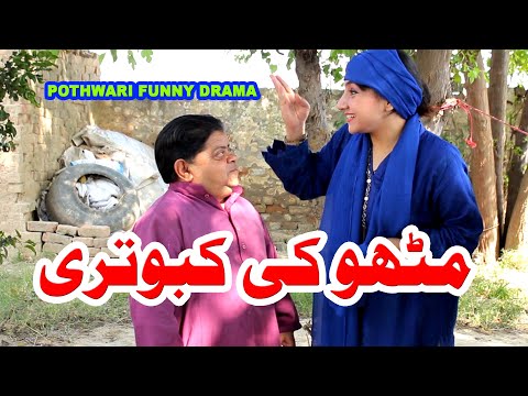 Mithu ki kabotri - Pothwari top funny drama - Shahzada Ghaffar Funny Clips - Shehnaz Khan best drama