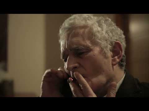 Meglio da remoto - Trailer 2024