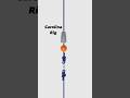 Carolina Rig - Target bottom feeding fish and fishing water quickly #fishing