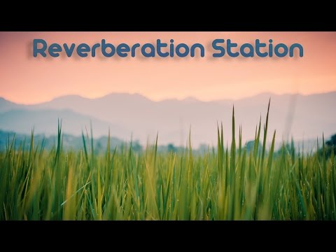 Reverberation Station [Psydub Mix]