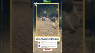 Download lagu Malah Jadi Beneran Di Atas Normal #dancecover #peterpan #duet mp3 Download lagu Malah Jadi Beneran Di Atas Normal #dancecover #peterpan #duet mp3