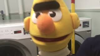 Bert Does The Laundry