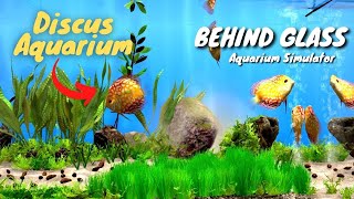 🐠 Discus aquarium | Behind Glass: Aquarium Simulator | Gameplay