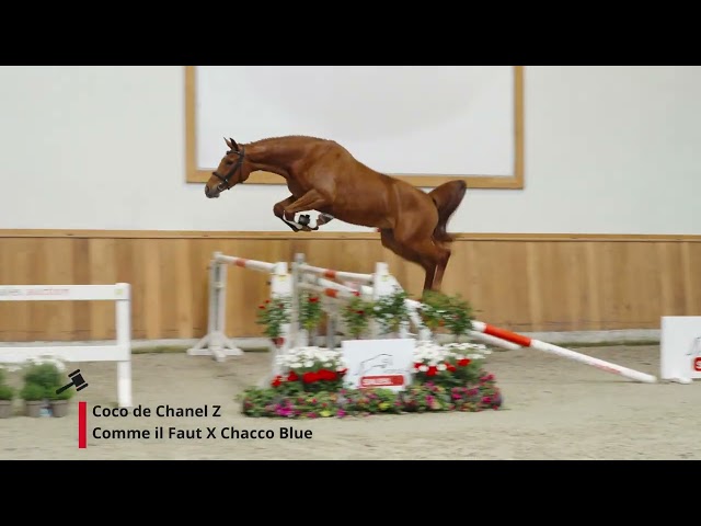 Coco de Chanel z