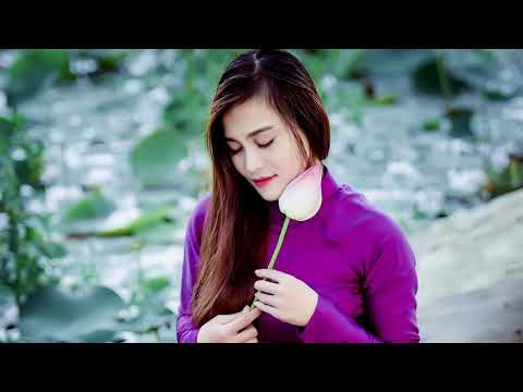 Như chiếc lá rơi - Lê Dinh