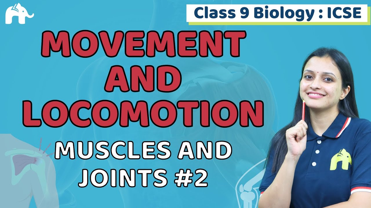Movement and Locomotion  Class 9 ICSE Biology | Selina Chapter 13 | Muscles and Joints #2