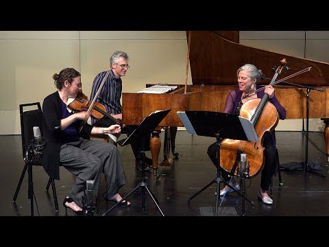 Schubert: Trio Op. 100 - Andante con moto. Freivogel, Tomkins & Zivian 4K UHD (D. 929)