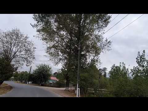 Ciolanesti Deal-Teleorman