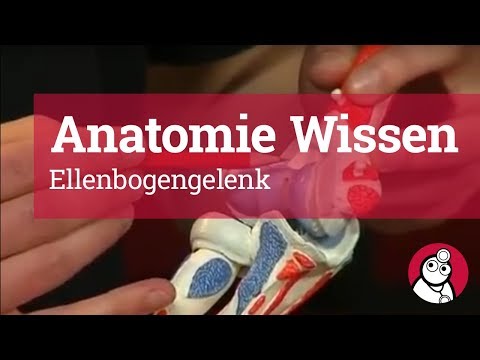 Ständig wunder unterer Rücken oder Niere Gesellschaftstanz Gelenke