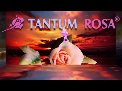 Video thumbnail for Tantum Rosa