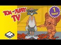 From Classic To OUCH Ultimate Tom Jerry Collection Boomerang UK