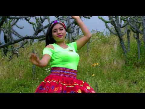 Orquesta Nueva ilusión de Cajatambo - Mix Cajatambina - Video Oficial -2024