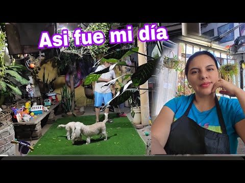 Asi mis dias, como esposa y en el negocio, preparando el Cumpleaños de Esaú