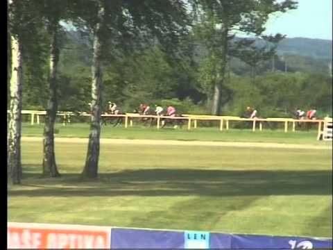 LL, 6. 7. 2015, 2. dostih - CENA PŘÁTEL SČADJ - Dostih amatérů