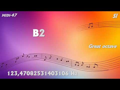 Incredible Precision (13 Decimal): B2 Si Great octave MIDI 47
