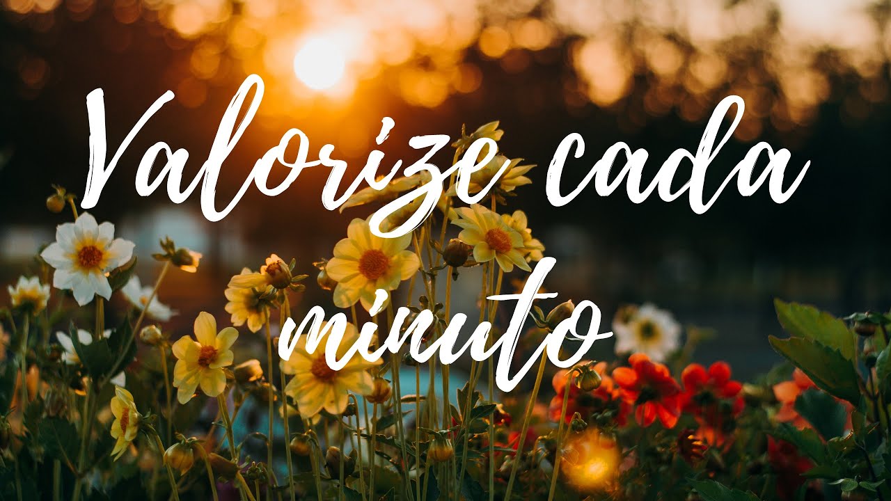 🔴Mensagem de Reflexão/ Valorize a cada minuto😍
