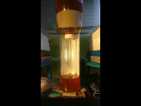 Honey coiling in a glass
