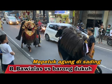 BARONG BANGKUNG B_BAWIALAS VS BARONG DUKUH MEPETUK DI SADING