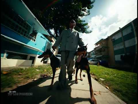 Myke Towers - TO' LOS PODERES (Visualizer)