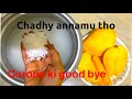 చద్దన్నం Immunity Power Pynchy Chadhanam Secret Fermented Rice Healthy Secret Immuni