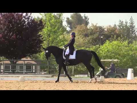 Easy Breezy Prix St. George with Claire Gunther