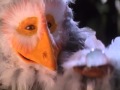 The Never Ending Story 2 Bastian S Memorie