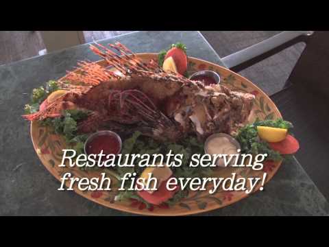 City of Marathon 60 second commercial arranged by Adrienne in The Florida Keys