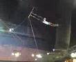 Jessica Circus Circus Trapeze