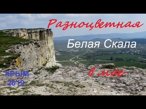 Крым 2019, Белая Скала в мае. Многоцветье природы
