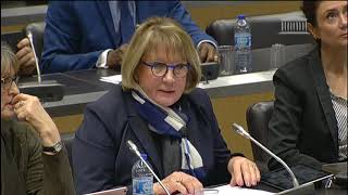 Commission du développement durable. Table ronde sur l'accès aux services publics dans les terri