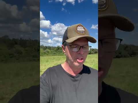 FAZENDA A VENDA NO MUNICÍPIO DE AMORINÓPOLIS NO ESTADO DE GOIÁS