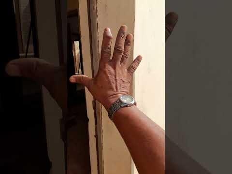 👍🇧🇷 #shortsvideo aí casaráo a tigo em capitão de Campos Piauí