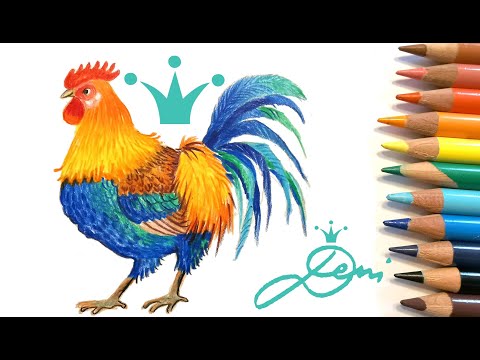 🐓Hahn zeichnen lernen mit Buntstiften 🐓 Gockel, Hühner, Vogel malen 🐣 How to draw a Rooster