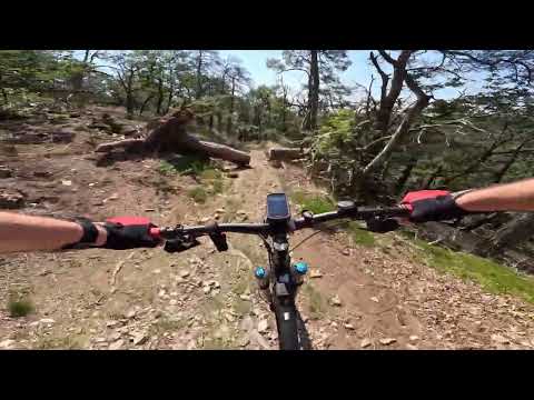 Rockenhausen - Donnnersberg 2