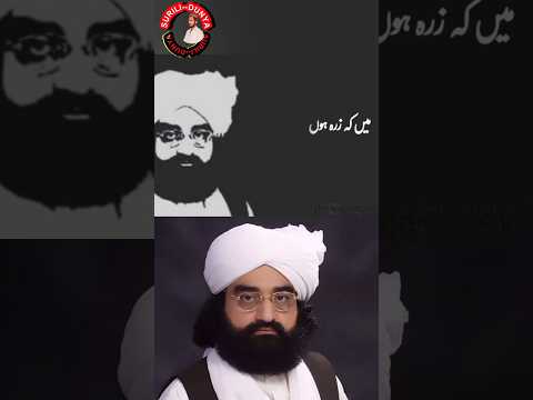 poetry pir Syed naseeruddin naseer #shortfeed #shortsyoutube #shortsviral #shayari