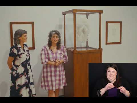 Scientia Sexualis Exhibition Walkthrough (ASL)