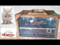 DIY AMAZING RAT CAGE | Easy and Safe
