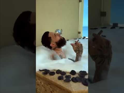 La momia freestyle love