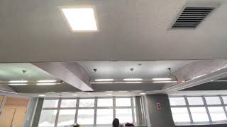 【練習中】Blood Sweat & Tears踊ってみた