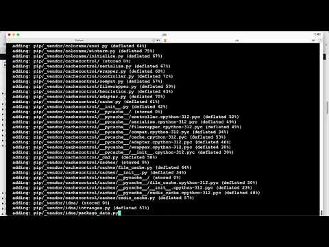 9 Aws Lambda Batch Hands On Deploy Additional Python Packages Modules Using Zip In Lambda