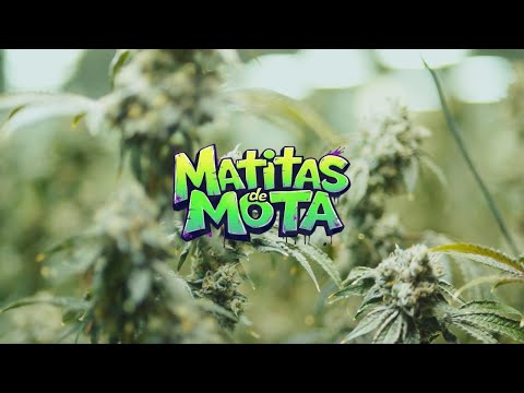 La Dama Brava - Matitas De Mota  [Video Oficial 2025]