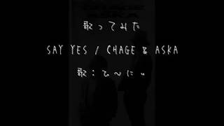 歌ってみた　SAY YES / CHAGE & ASKA