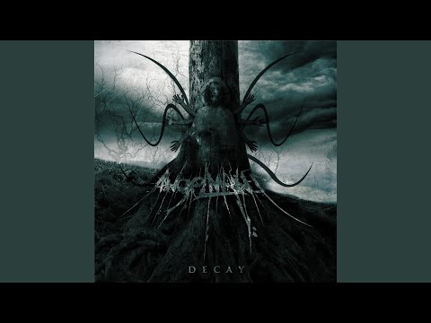 Decay - Angelmaker