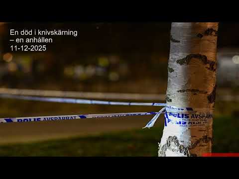 En död i knivskärning – en anhållen