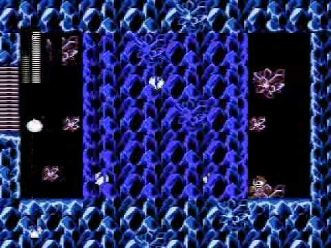 Quickman in Rockman no Constancy