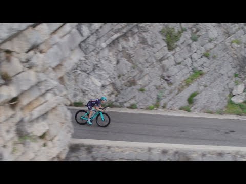 TREK Madone Speed Disc