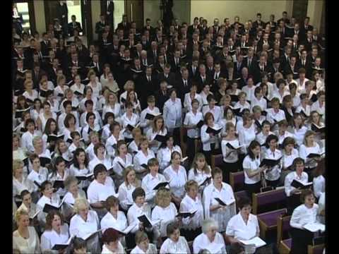 Schulchor -  Niemals will ich klagen