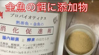 《金魚》金魚の消化不良対策！