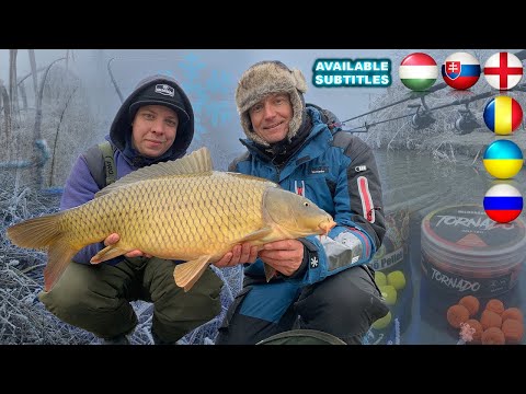 Coldwater Feeder Fishing for Carp part 23.  - The carps of January